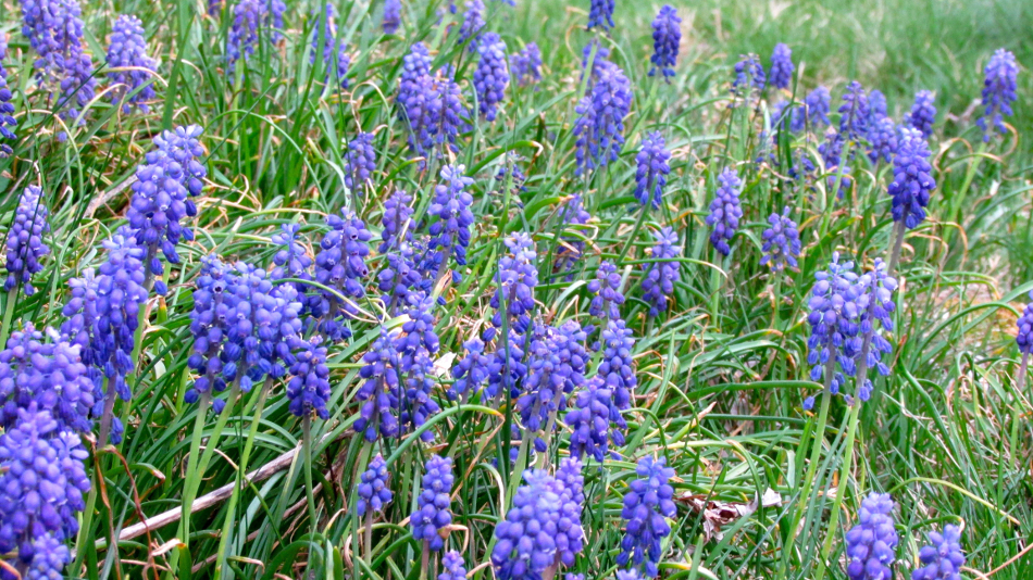 Developing Intuition: Part II